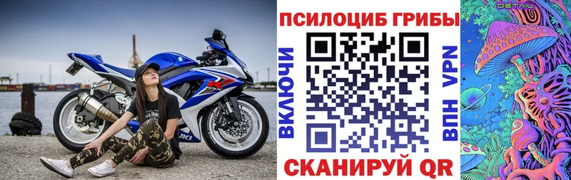 Галлюциногенные грибы GOLDEN TEACHER  купить закладку  Ессентукская 